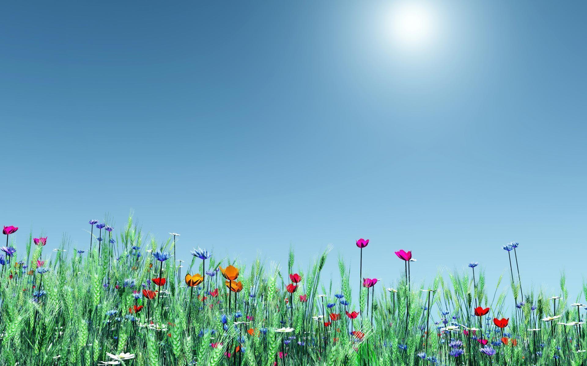 Spring Widescreen Desktop HD Wallpaper