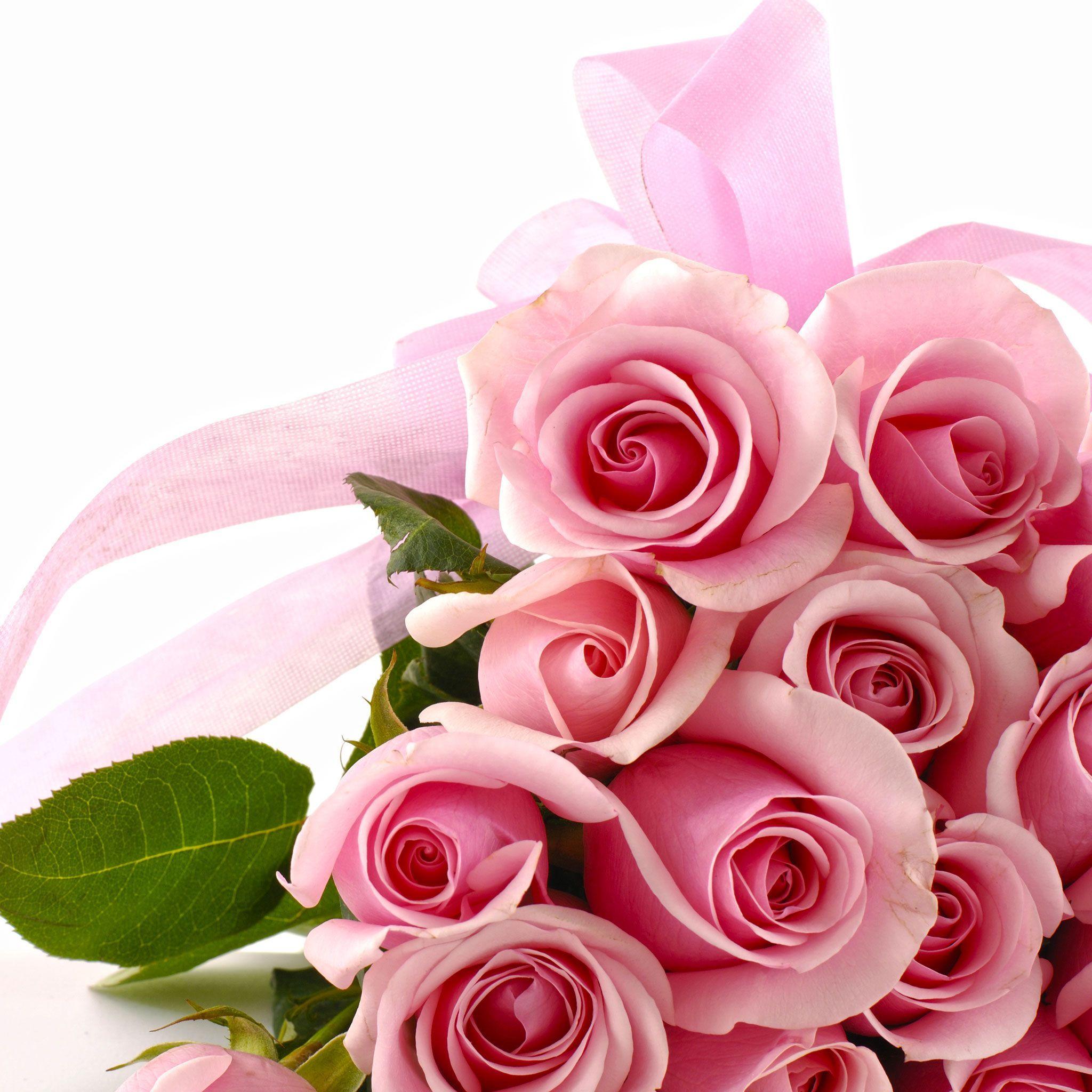 Pink Roses