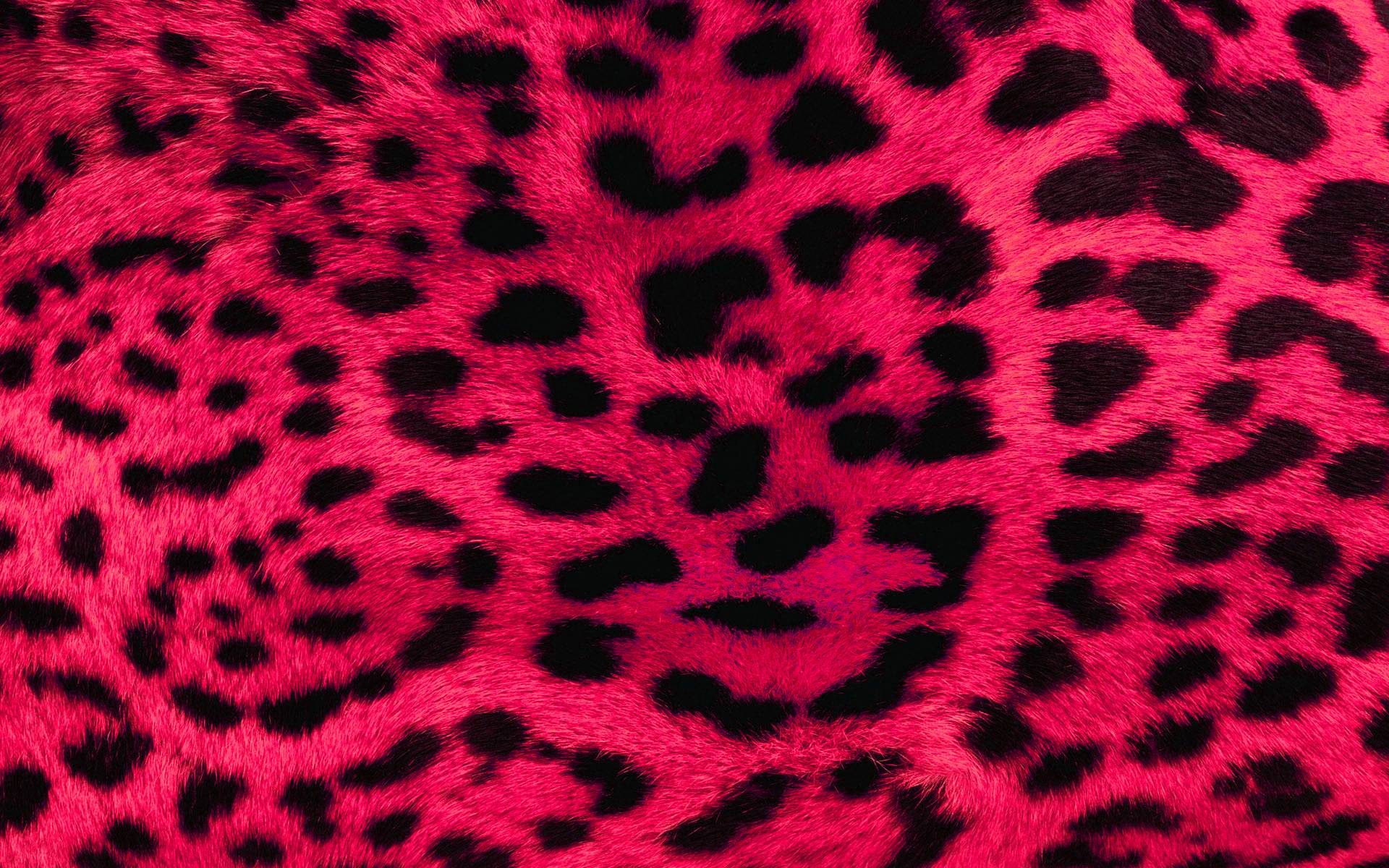 Cheetah Print HD Wallpaper and Background