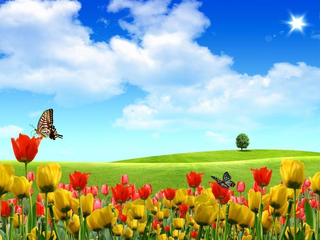 Full HD Summertime Wallpaper. fix tv forum