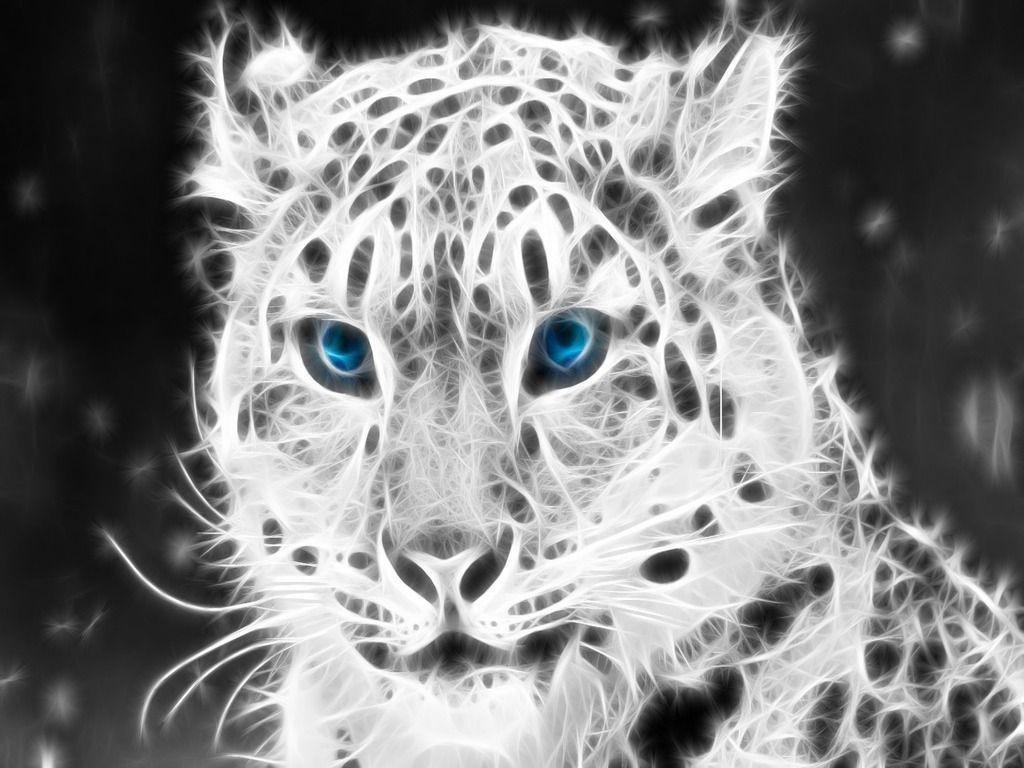 Animals For > White Snow Leopard Wallpaper