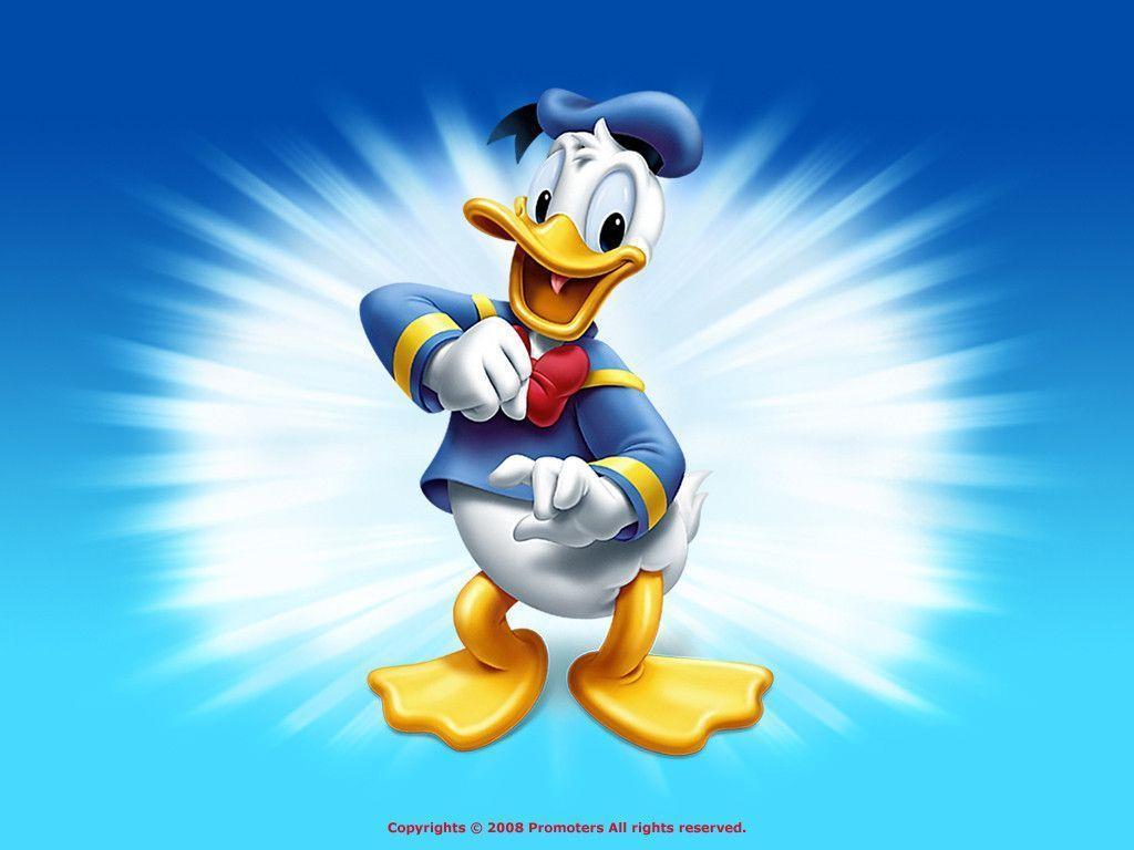 Disney image Donald Duck Wallpaper HD wallpaper and background