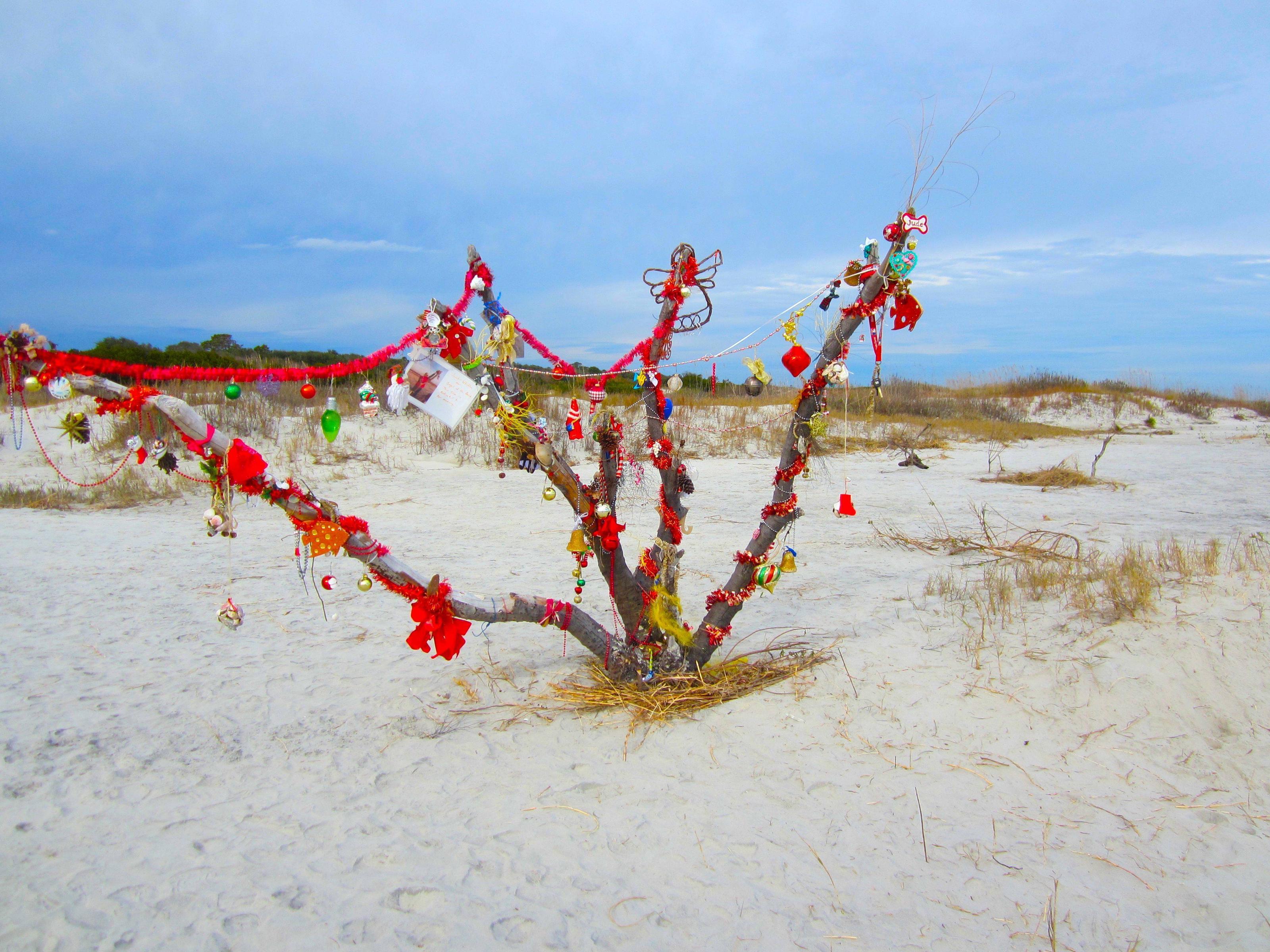 image For > Christmas Tree On The Beach Wallpaper