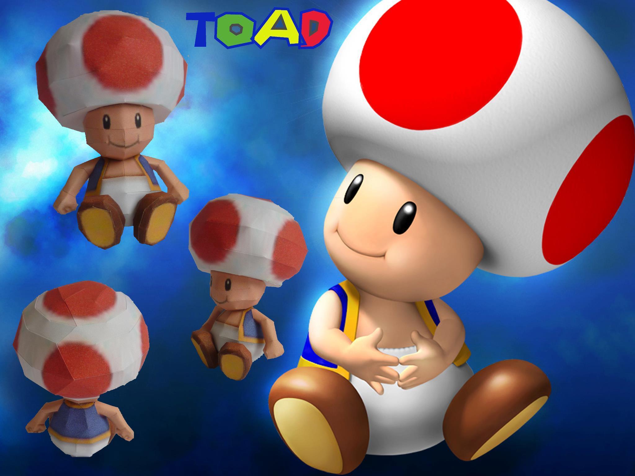 Mario Toad Wallpaper