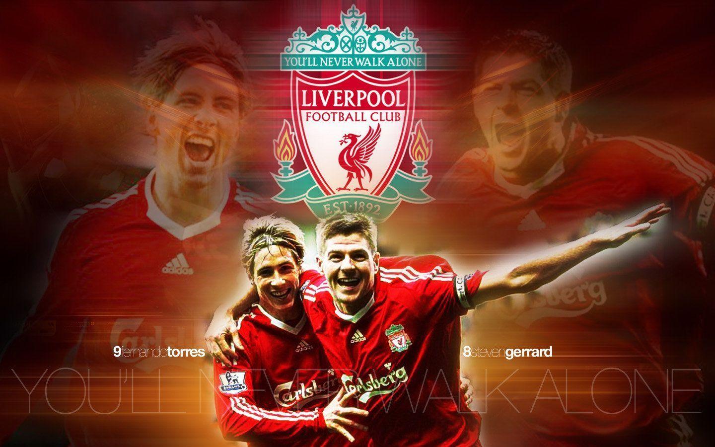 Fernando Torres Picture