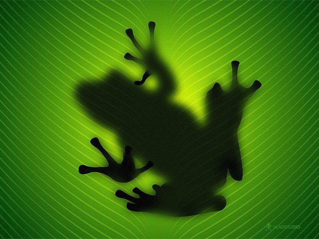 Frogs Green Wallpaper and Picture Items