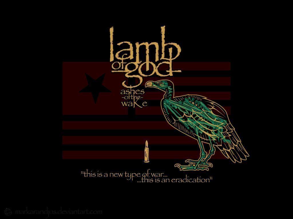 Download Lamb Of Wallpaper 1024x768