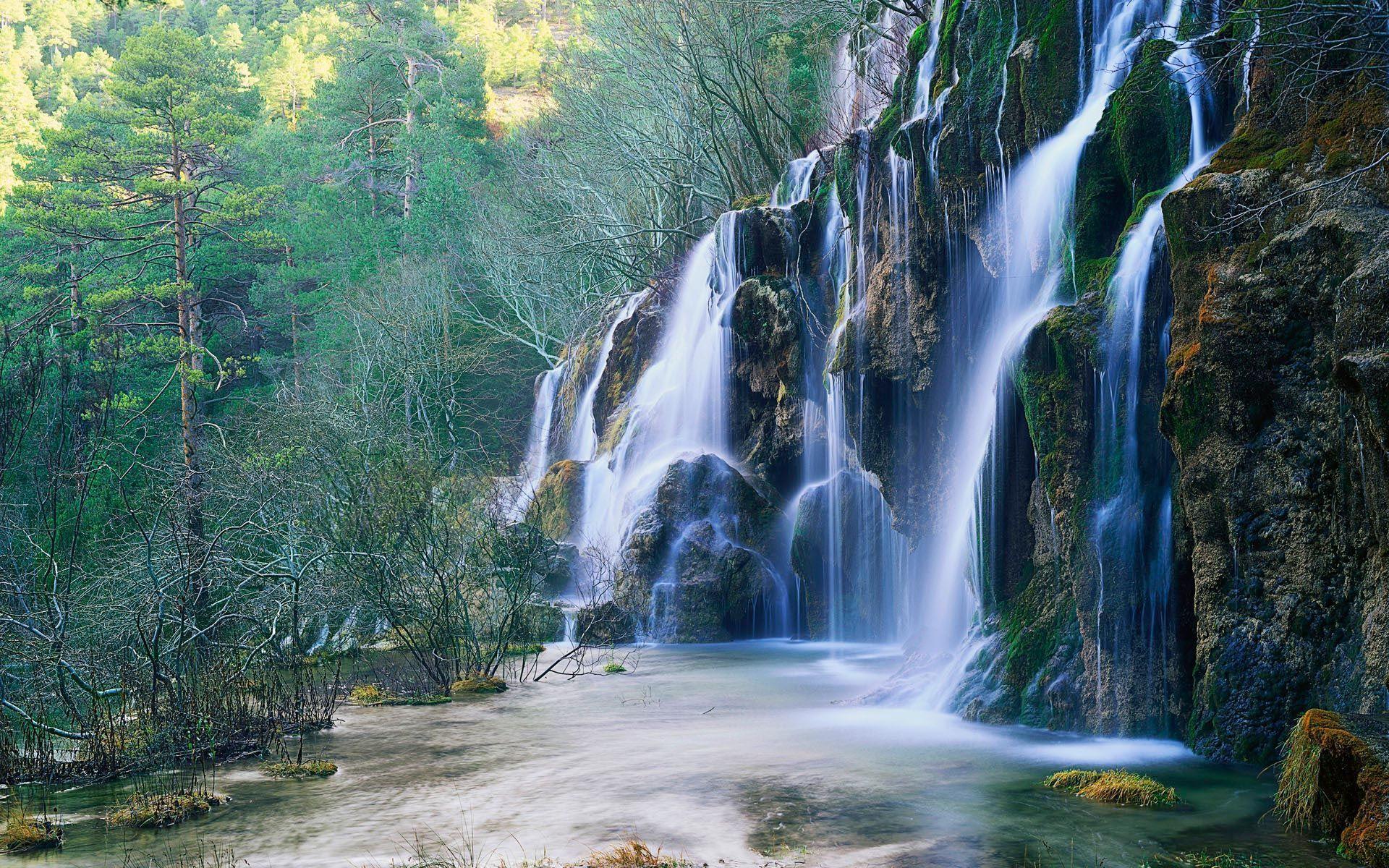 Free Wallpaper Waterfalls In Woods 1920x1200 wallpaper