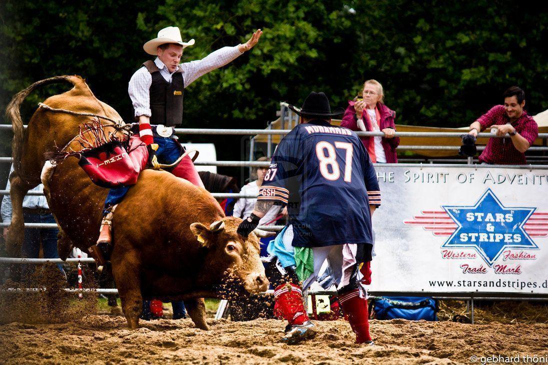 Wallpapers For > Bull Riding Wallpapers