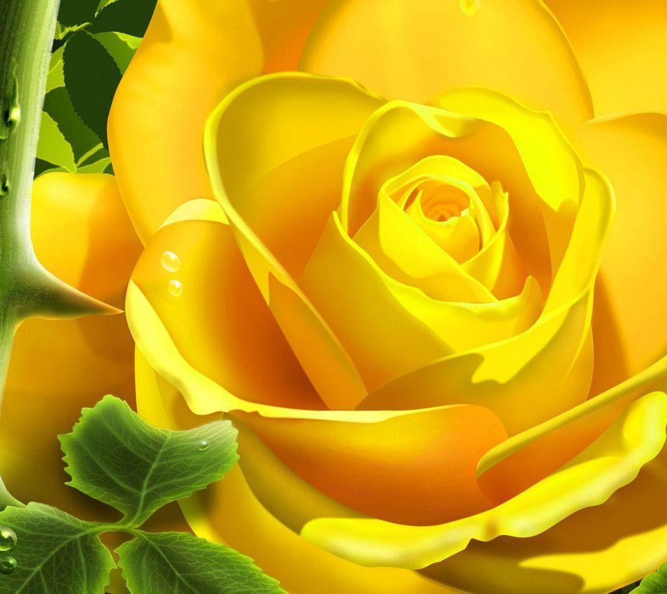 flower computer background