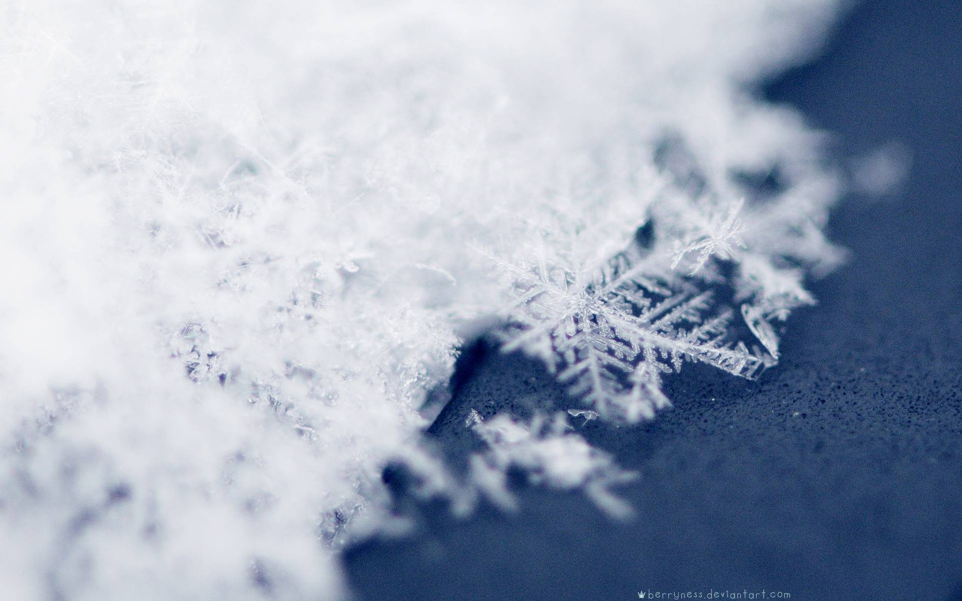 Download Snow Snowflakes Wallpaper 1920x1200