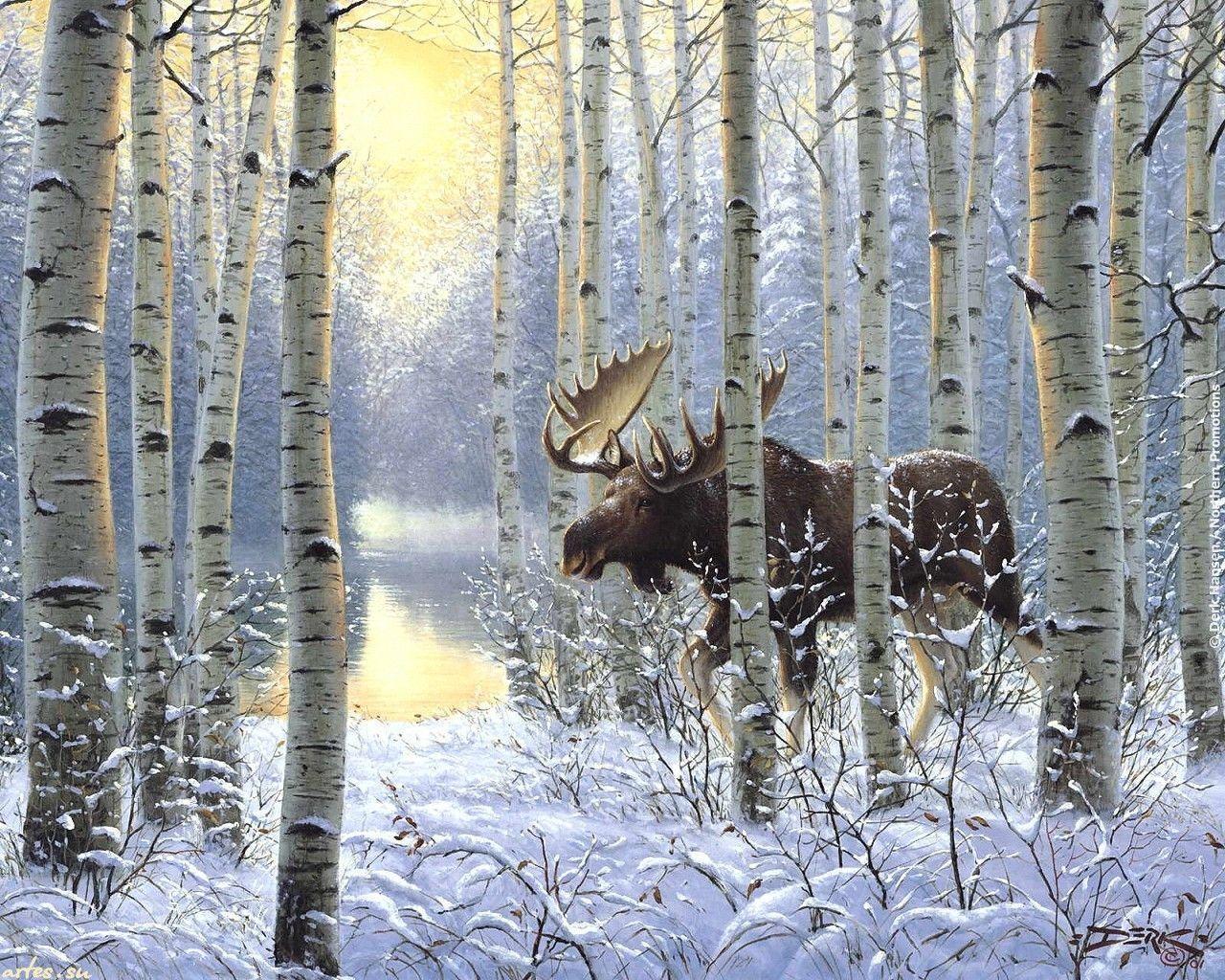 Moose In Winter Water Trees Snow Animals wallpaper #