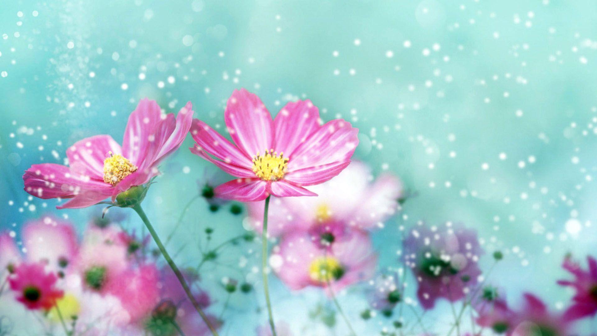 Hd.flowers Wallpaper