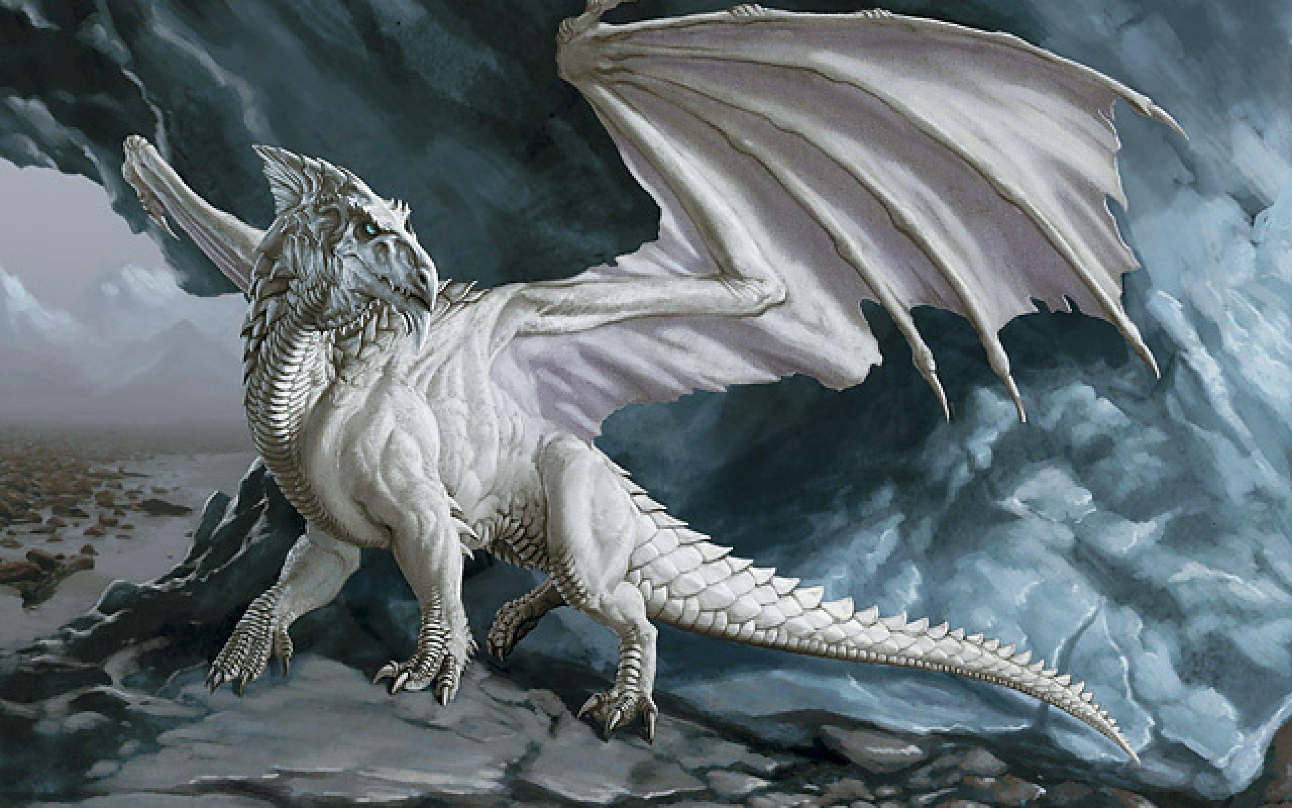 White Dragon Wallpaper Widescreen