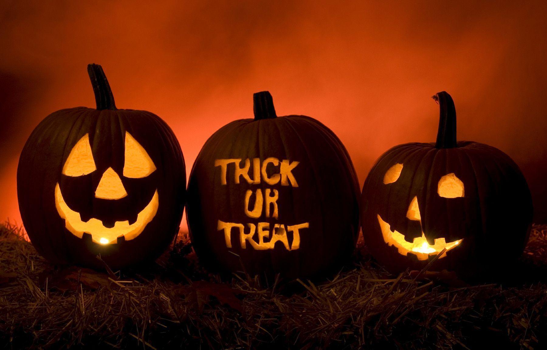 Trick Or Treat Halloween Pumpkins Wallpaper Wallpaper