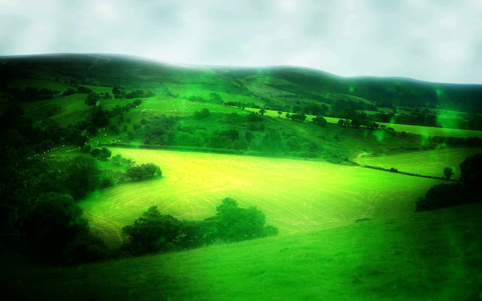 Background Scenery wallpaper