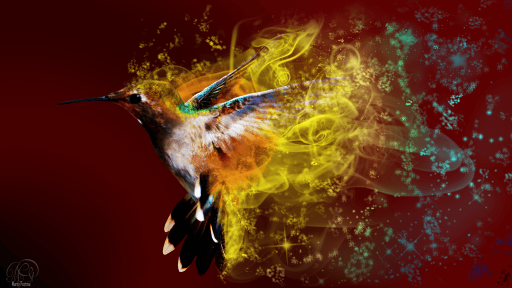 Hummingbird Wallpaper By Sothyque X