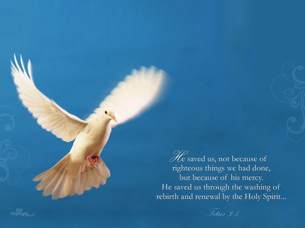Titus 3:5 Desktop Wallpaper Scripture Verses Background