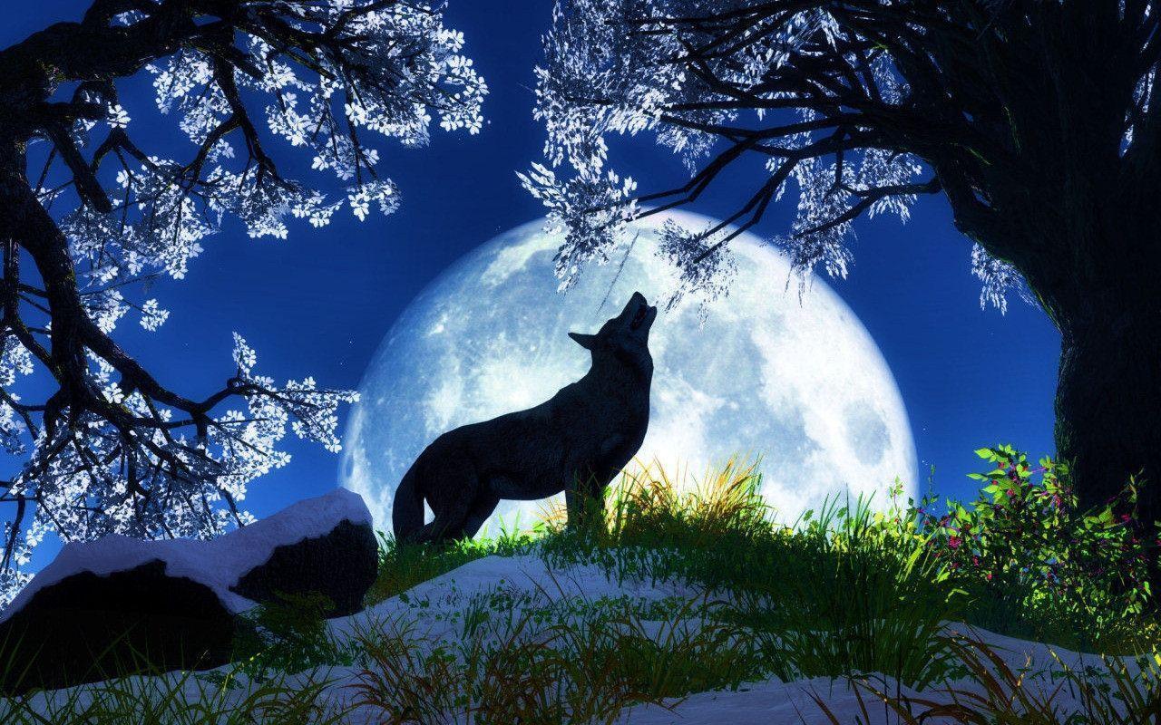 Nice Desktop Wallpaper, Full Moon A Pondering Mind Full Moon