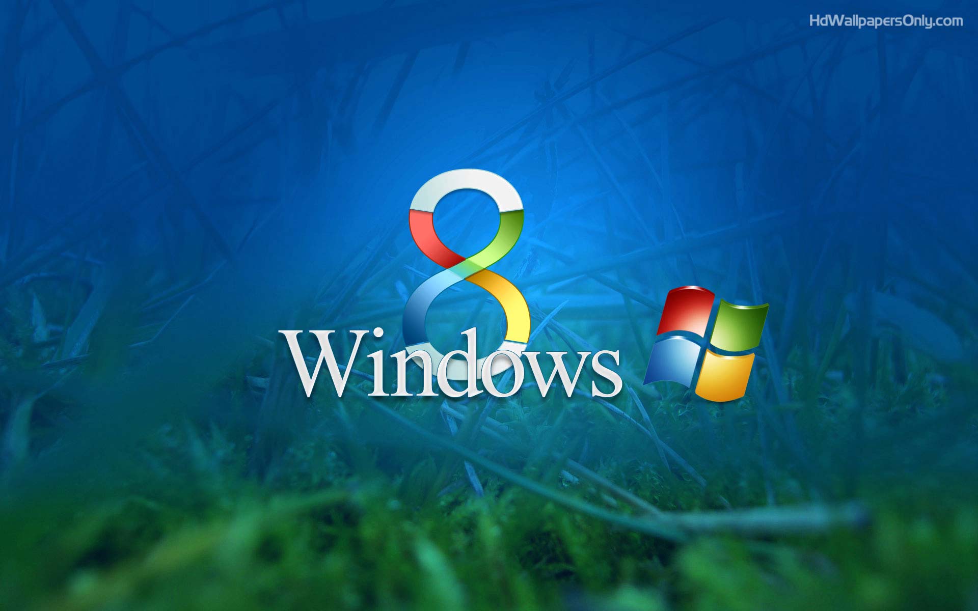 Windows 8 Wallpaper HD Quality Free Download HD Latest PackHD