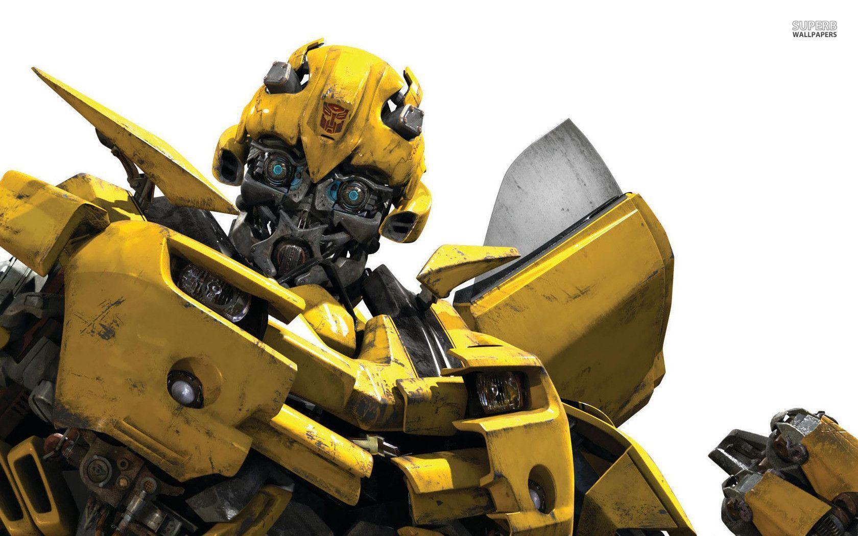 Bumblebee wallpaper wallpaper - #