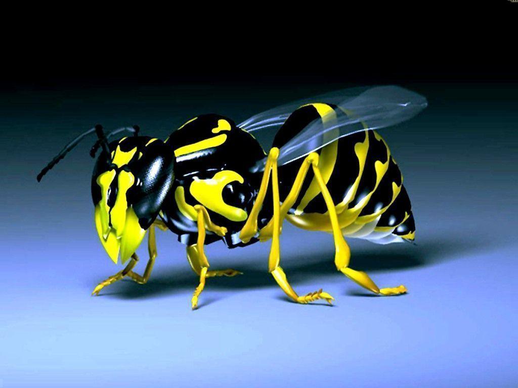 Free Downloadable 3D Wallpaper: 3D by Free download best HD