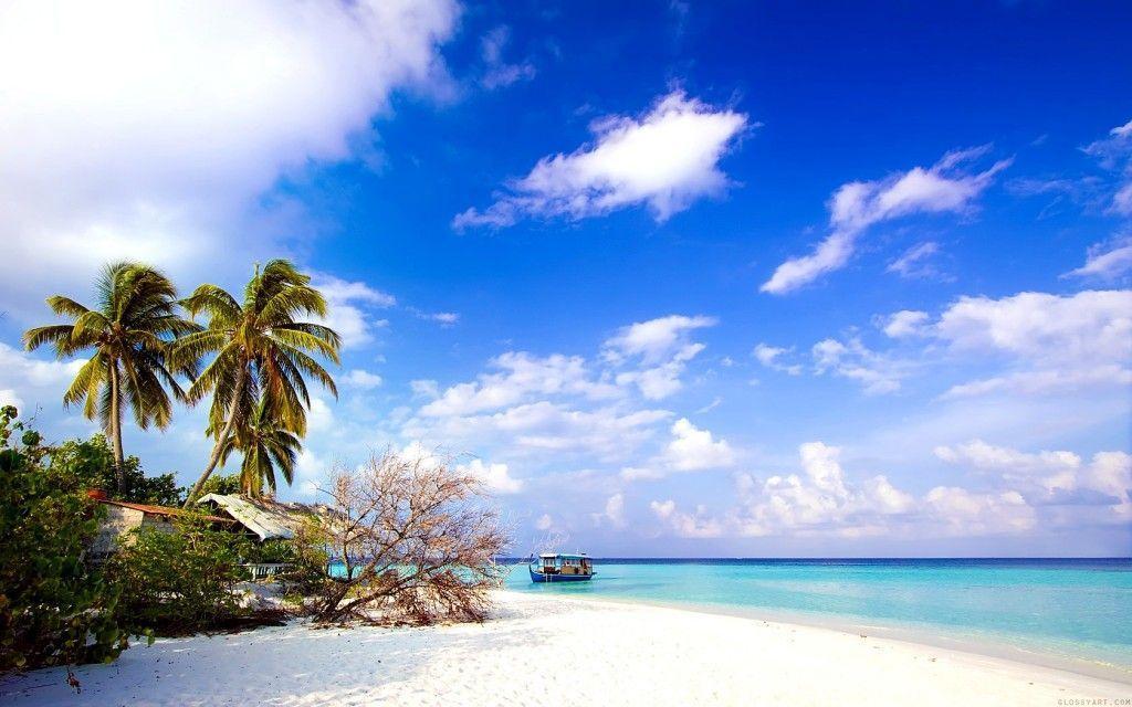 Alluring Free Wallpaper Download 1024x640PX Wallpaper for Free