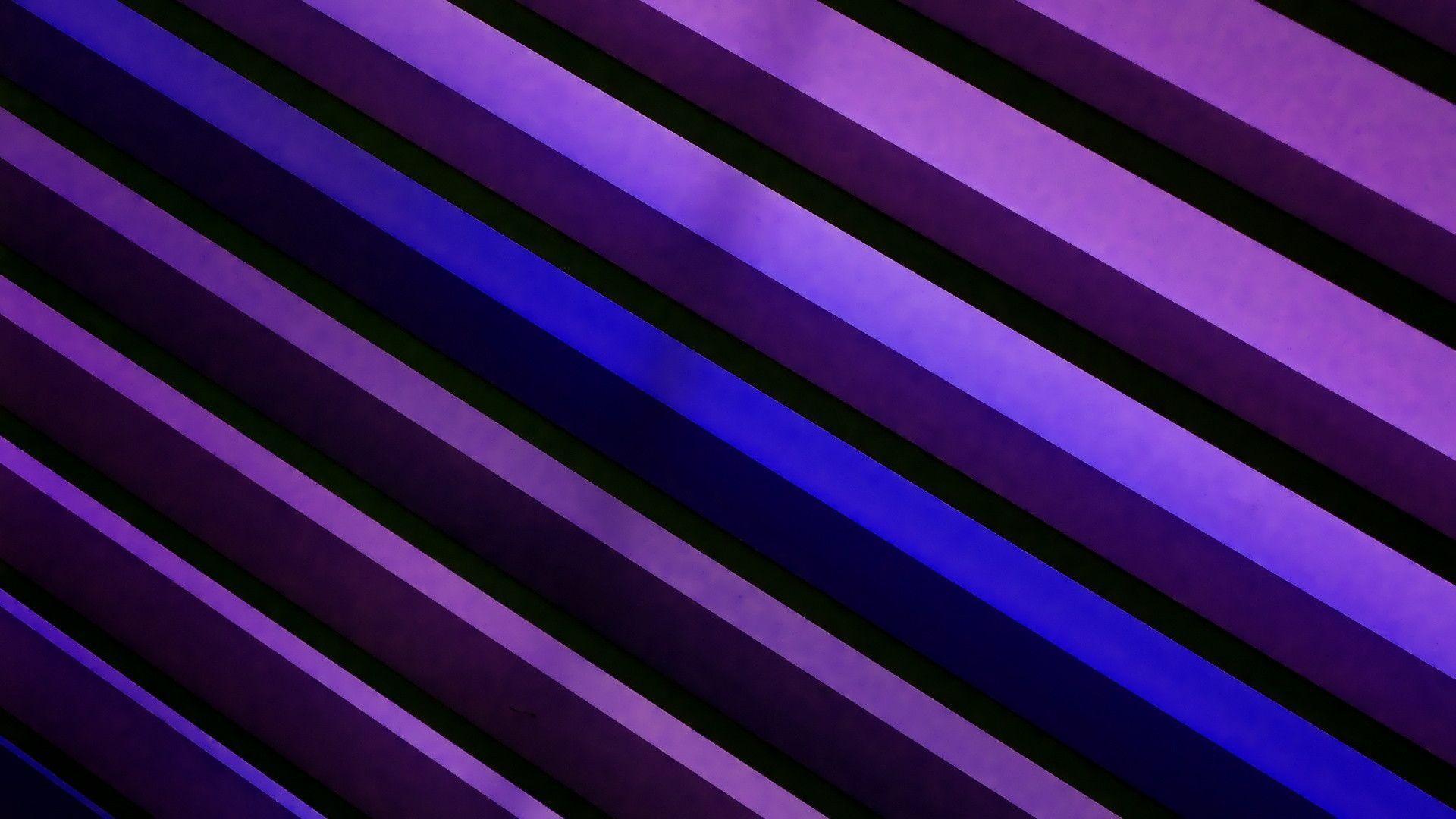 Violet wallpaper
