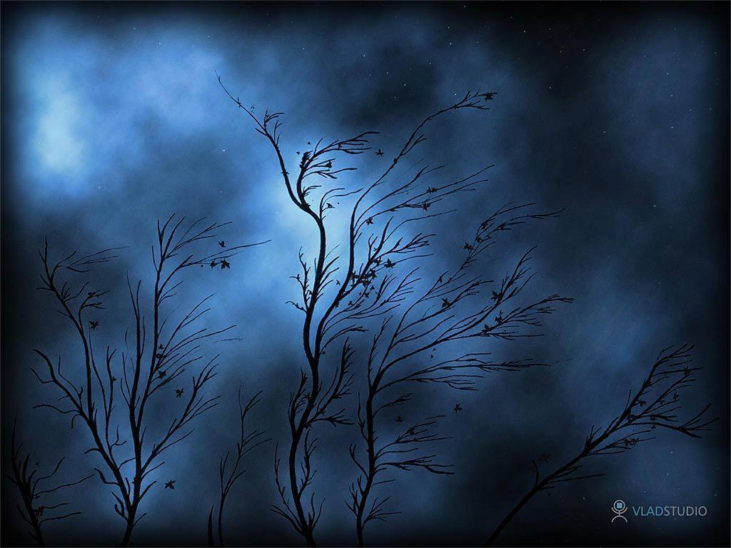 Horse Wallpaper and Picture Items