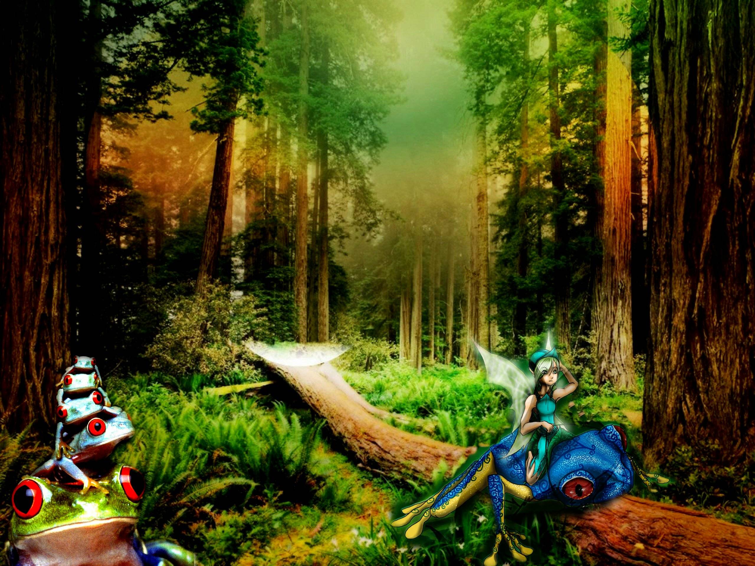 Enchanted Forest Backgrounds - Wallpaper Cave