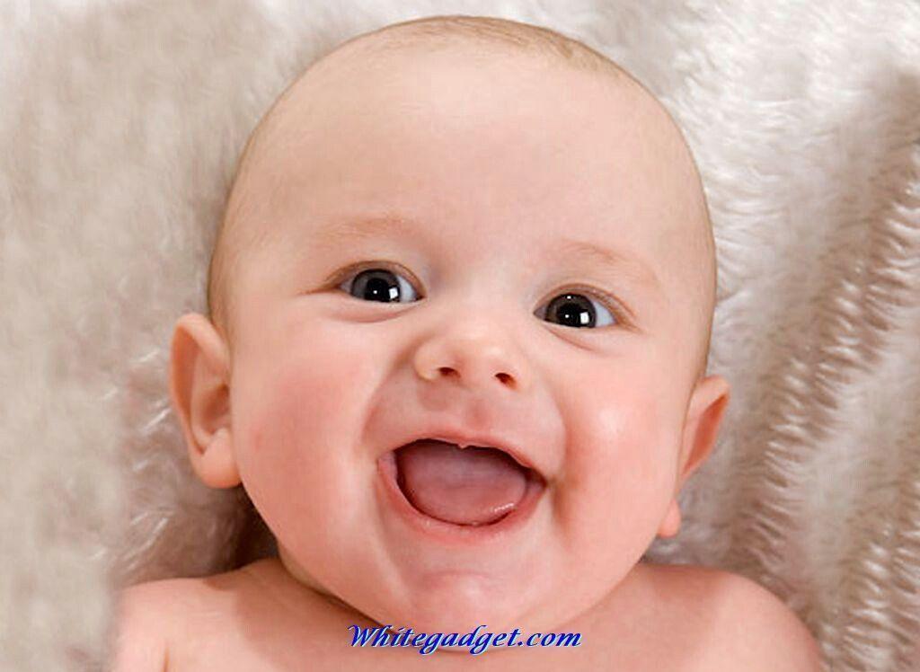 Funny Babies Picture Wallpaper