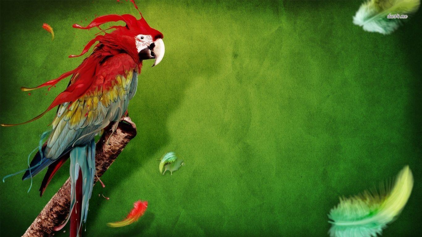 Animals For > Green Macaw Wallpaper