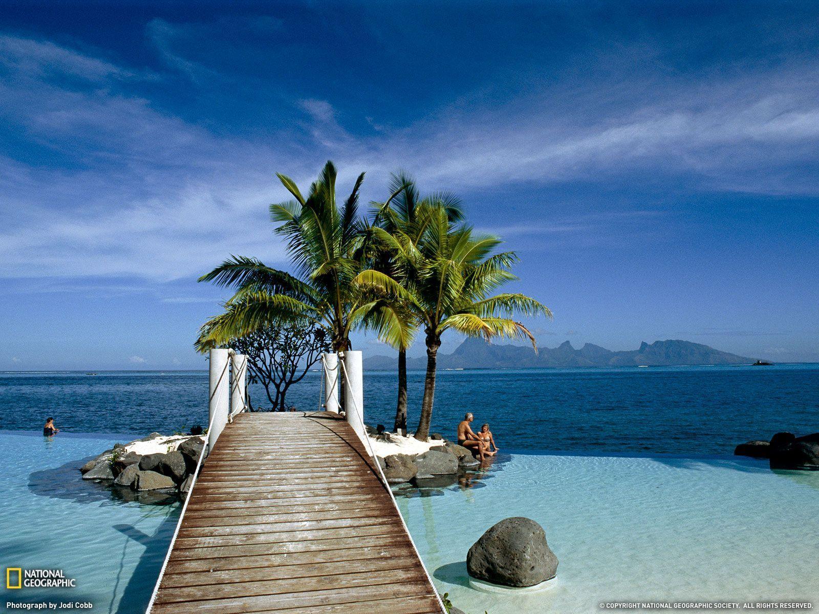 Tahiti, Dock and Palm Trees, Photo of the Day, Picture