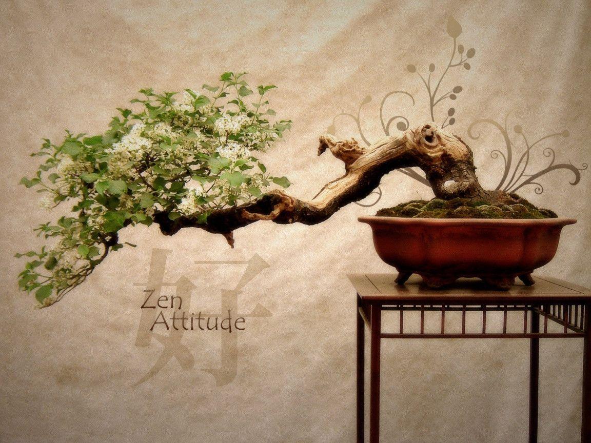 Zen attitude wallpaper, music and dance wallpaper