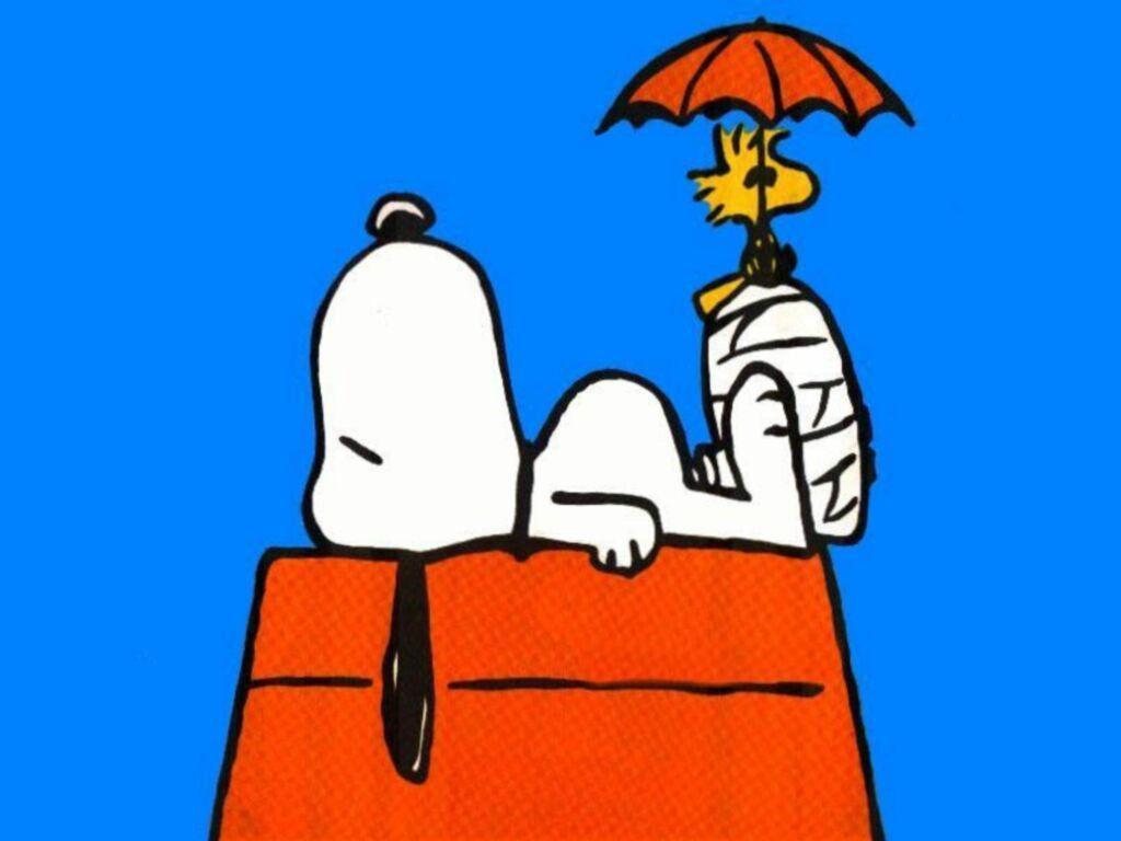 Snoopy Picture Desktop Wallpaper