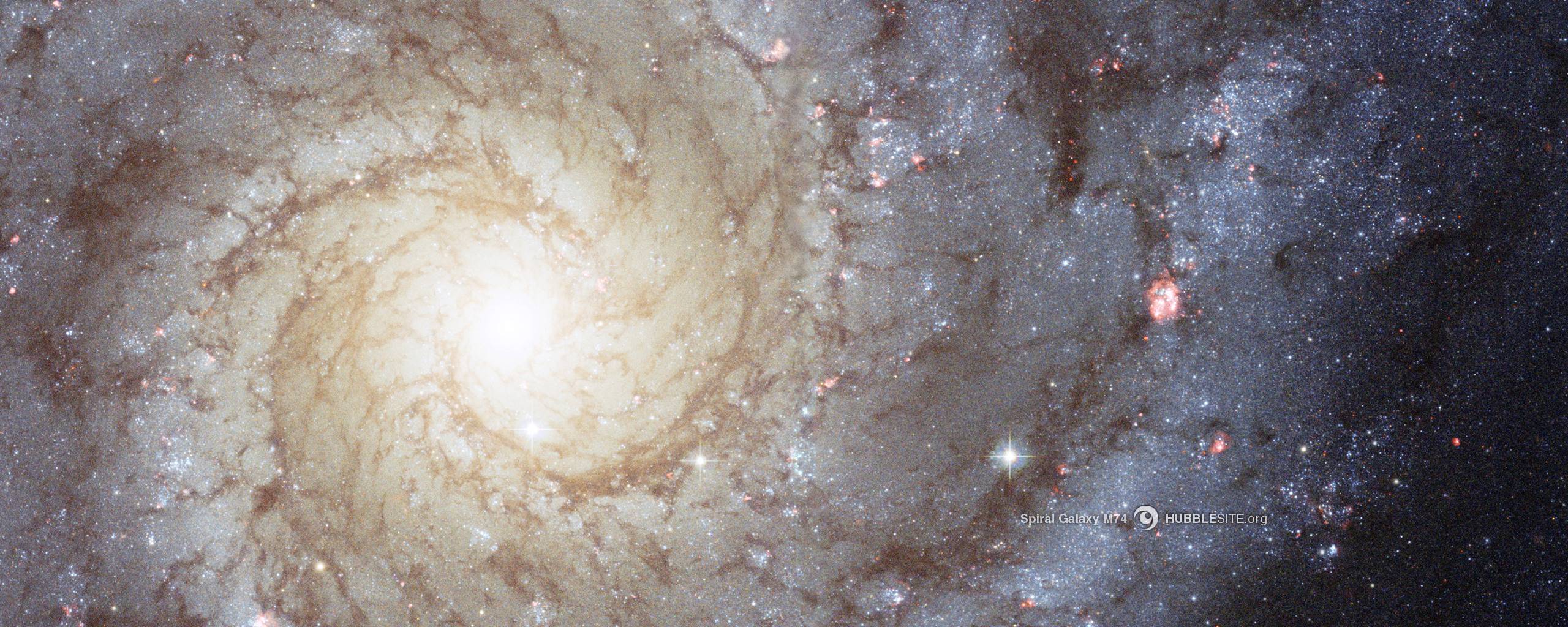 image For > M74 Galaxy