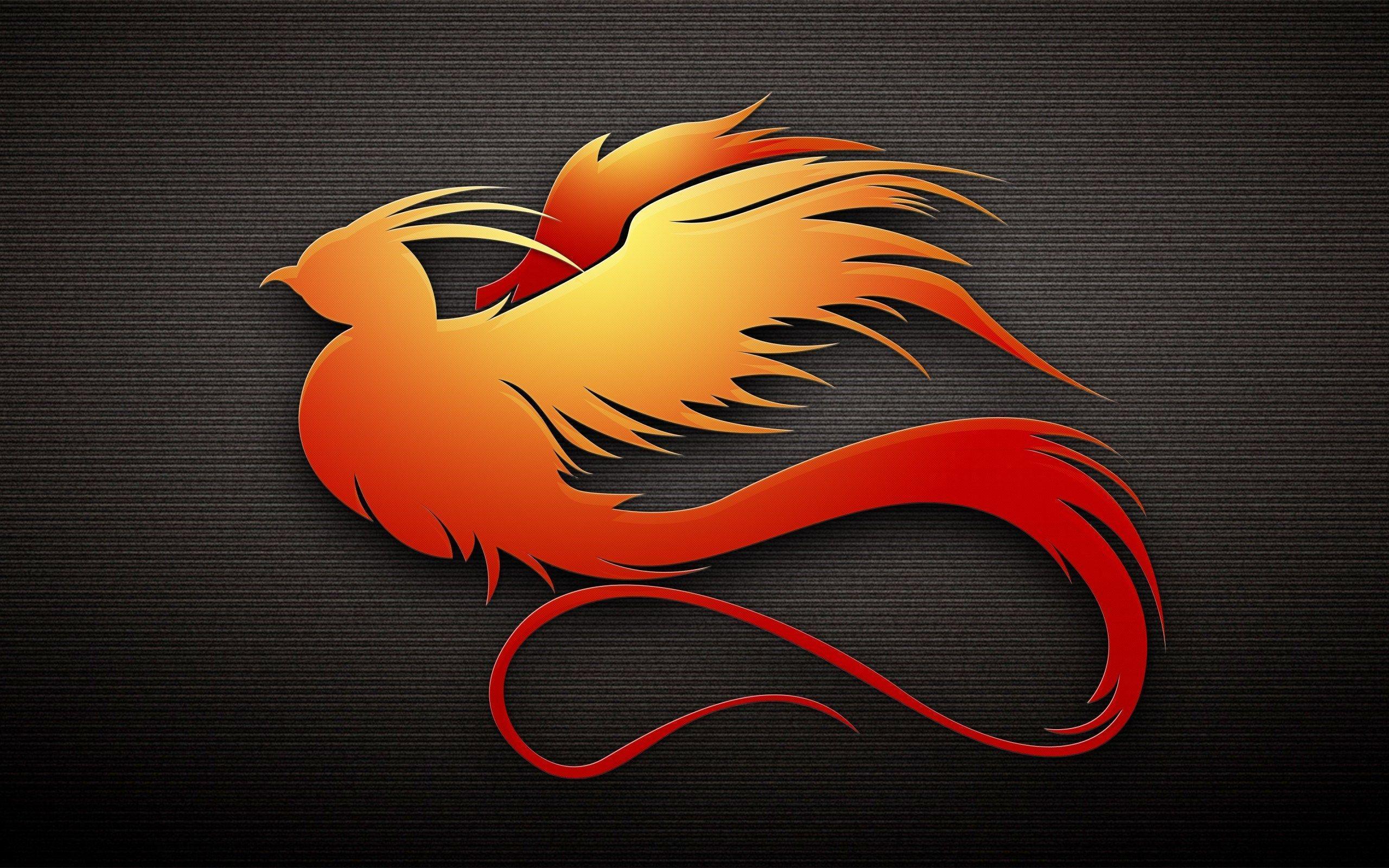 Phoenix Art Bird HD Vector Wallpaper 2560x1600 HD Wallpaper