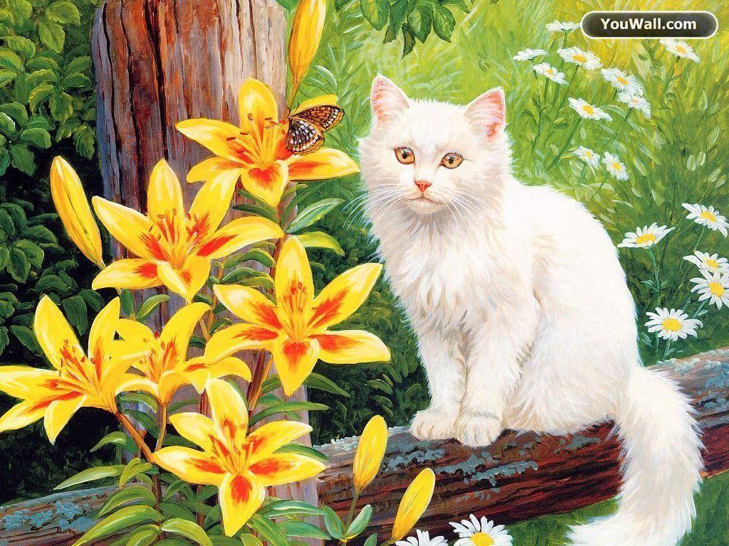 cat beautiful white wallpaper Search Engine