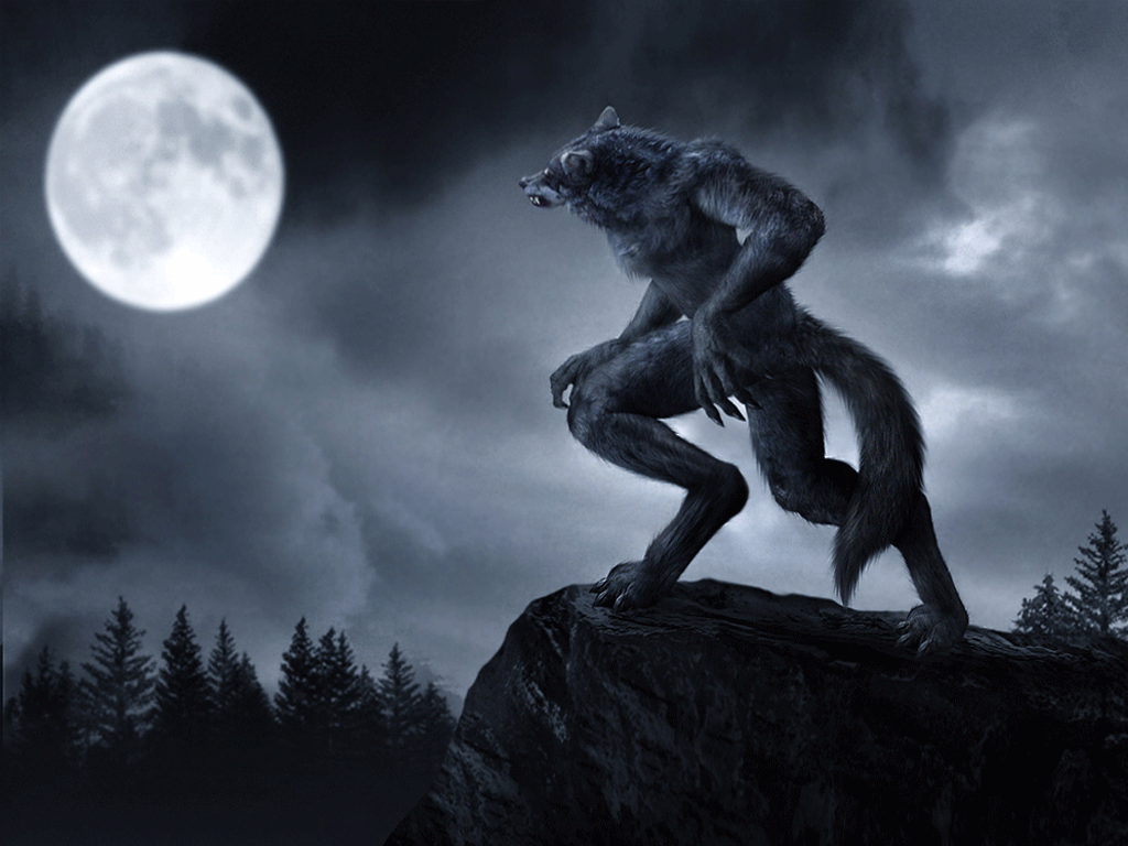 Gallery For > Dark Werewolf Wallpaper