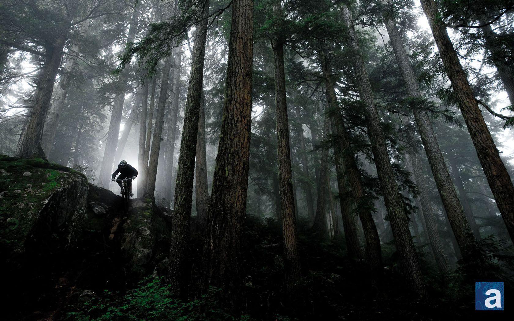 Wallpaper Wednesday: Mountain Biking Whistler, B.C. adventure