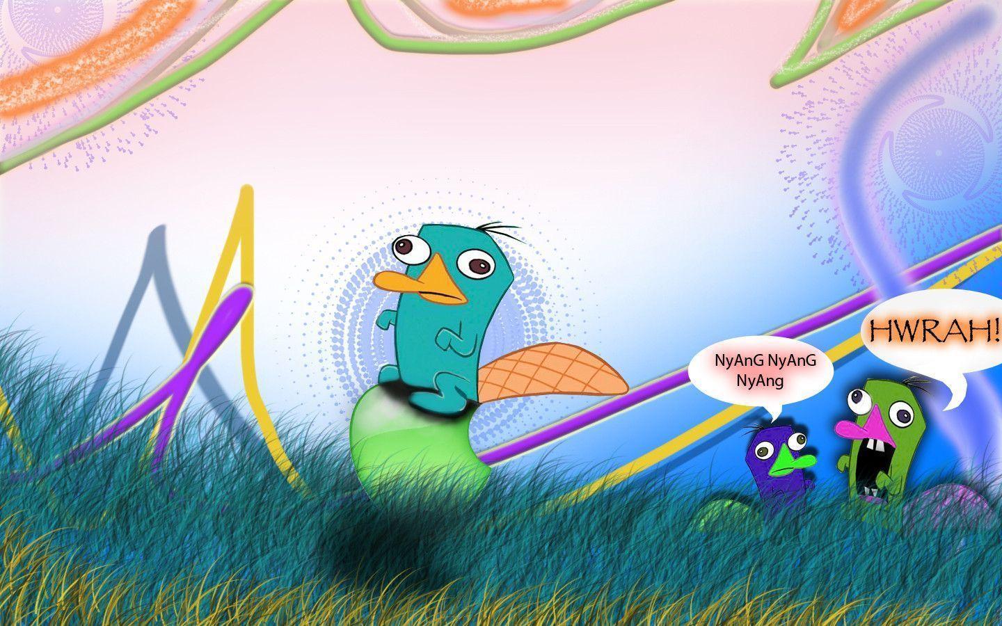 perry the platypus Wallpapers by RockDude69