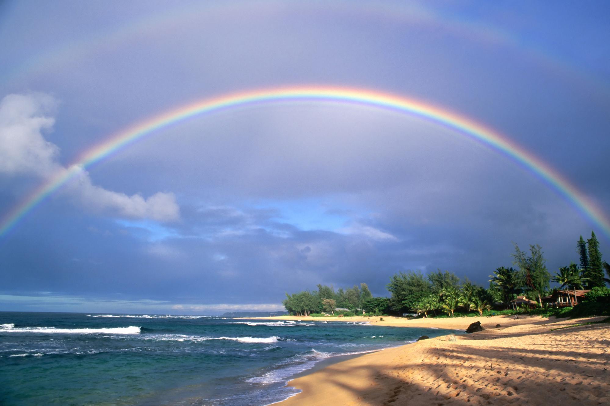 Rainbow background free desktop background wallpaper image