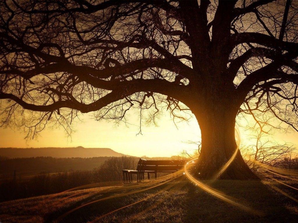 HD Wallpaper For Windows 7 Desktop Background Art Ideas