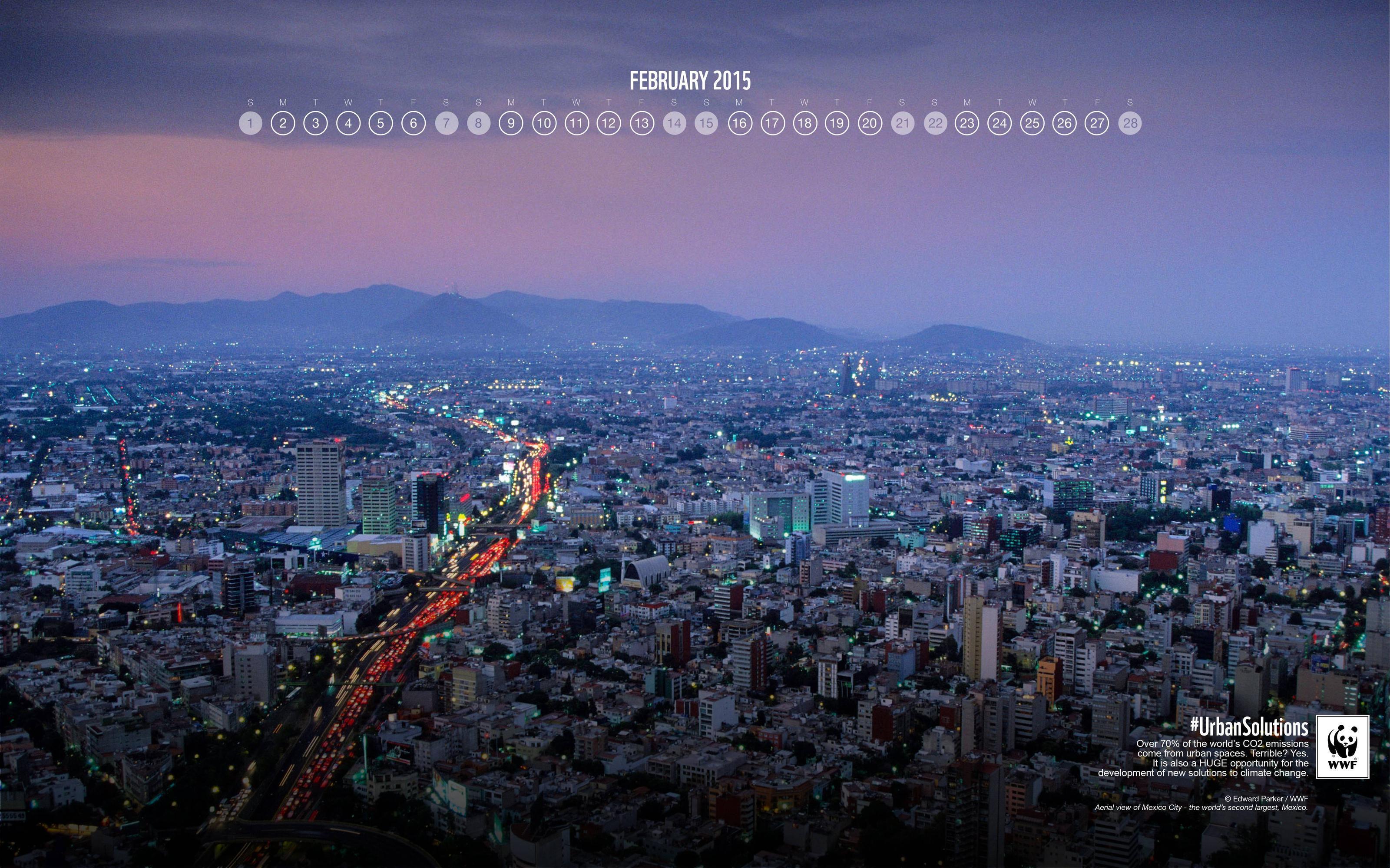 WWF and moving image