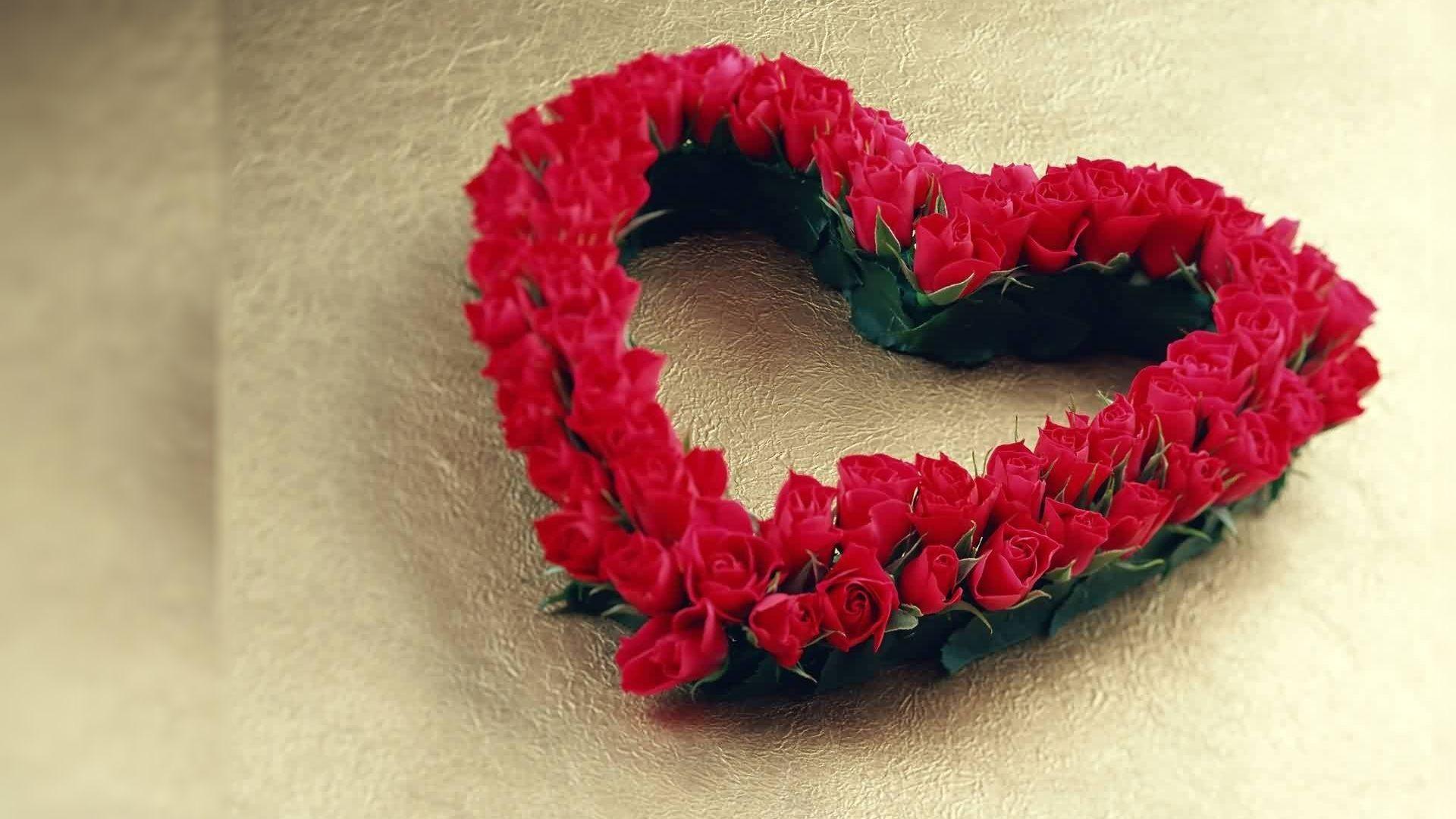 Red Rose Desktop Wallpaper 1030971521 Rose Wallpaper HD Free