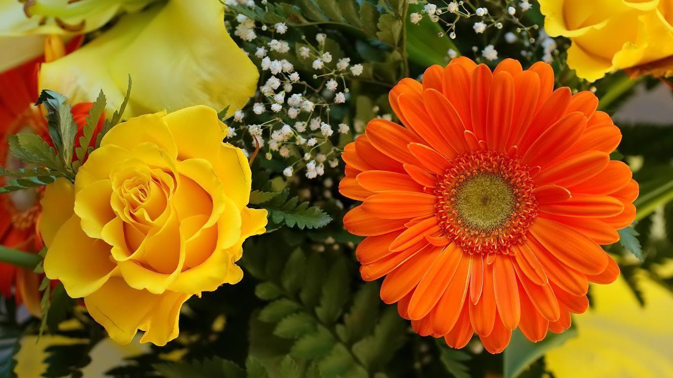 Desktop Wallpaper · Gallery · HD Notebook · Garden flowers bouquet