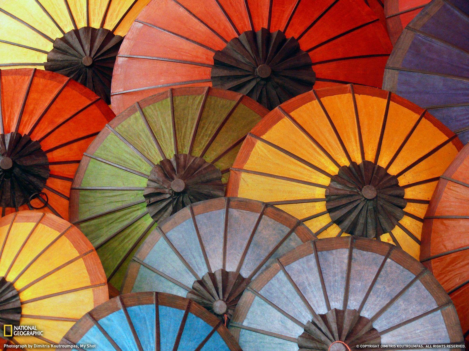 Colorful Umbrellas Photo