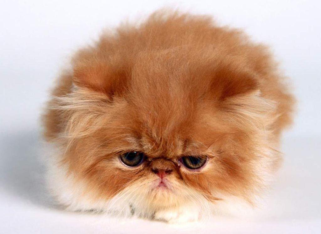 best 3D desktop wallpaper