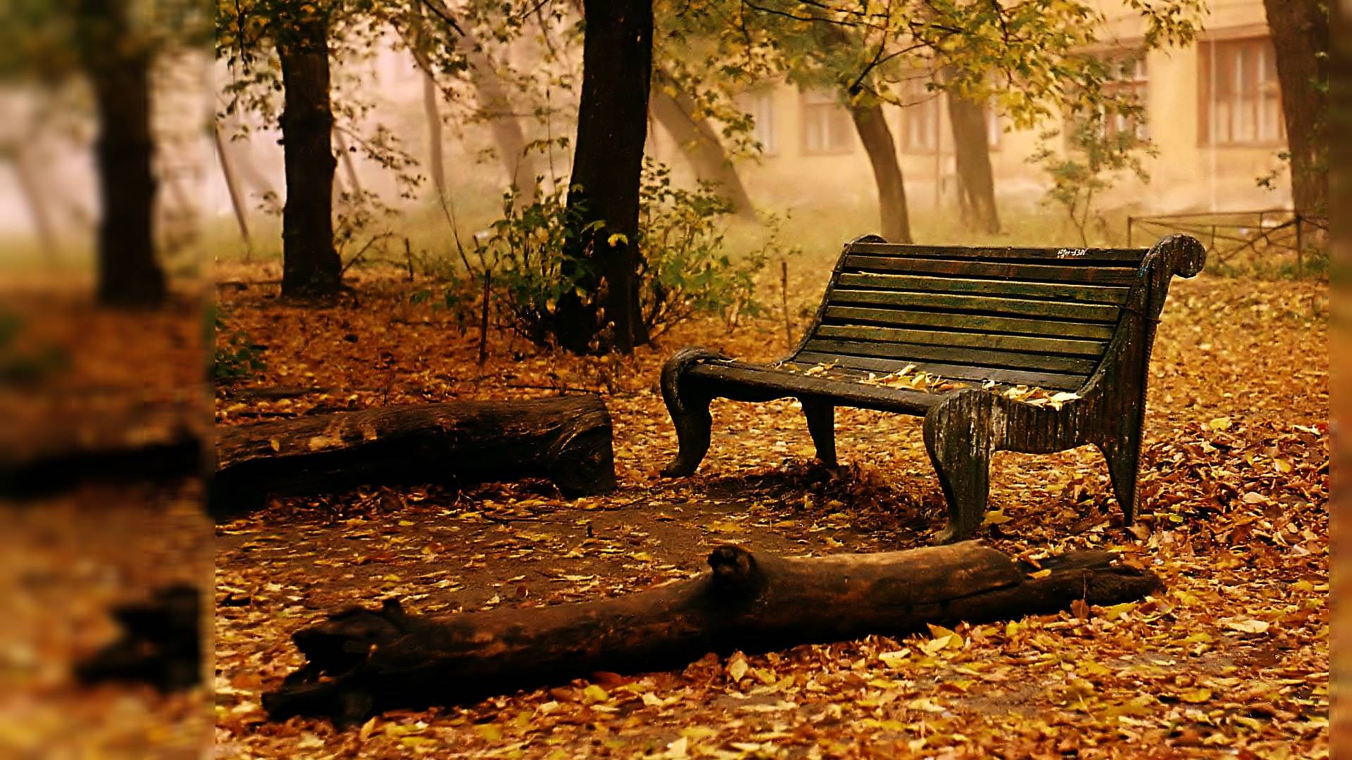 1920×1080 Fall Desktop Backgroundx1080 Gallery Wallpaper