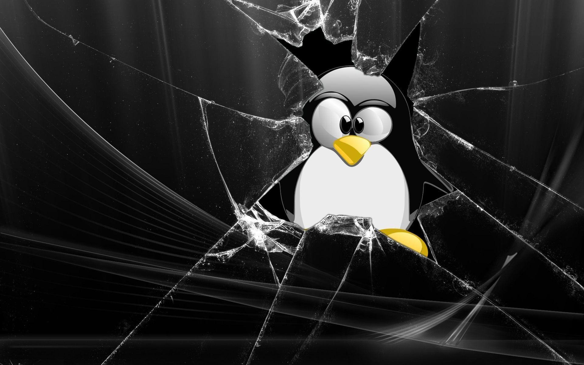 Linux Tux Wallpapers Wallpaper Cave